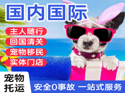 郴州空运国际宠物托运 【国